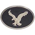BT Men's Embroidered Eagle Belt Buckle