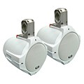 Pyle 200-Watt Two-way Wake Board Speaker