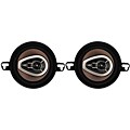 Pyramid 100-watt Two-way Bronze Cone Speakers