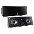 PylePro Dual 2-way 5-inch 300 Watt Channel Speaker