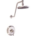 Danze Opulence Brushed Nickel Shower Faucet