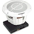 10-inch Marine Subwoofer and Amp Package