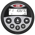 Watertight Silver and Black Marine Remote