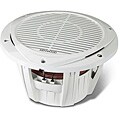 10-inch Marine Subwoofer