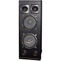 PylePro 1000 Watts Dual 10-inch Speaker