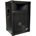 PylePro 600-watt 12-inch Stage Speaker Cabinet