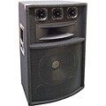 PylePro 600 Watt 12-inch 5-way Speaker Cabinet
