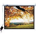 Pyle Hanging Electronic Open Projector Screen