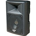 PylePro 700-watt 15-inch Speaker Cabinet