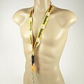 Pittsburgh Steelers Lanyard Ticket Holder Keychain
