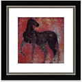 Nonius II Framed Art Print