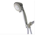 WaterPik Handheld Showerhead