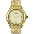 Citizen Men's Eco-Drive Goldtone Watch