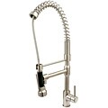 Cusinxel Satin Nickel Kitchen Faucet