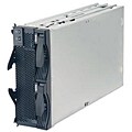 IBM BladeCenter Storage 2-bay Unit (Refurbished)