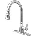 Aqueous High Arc Chrome Kitchen Faucet