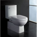 Ariel Platinum 'The Dionysus' Toilet