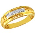 10k Yellow Gold Men's Diamond Accent Ring