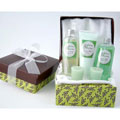 Mother's Day Spa Retreat Gift Basket
