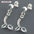 Multi Stone .925 Sterling Silver Earrings (India)