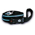 Visiglo 4-foot Flashing Sport Dog Leash