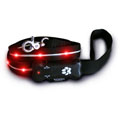Visiglo 4-foot LED Dog Leash