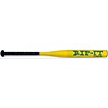 Rip-It Elite Fast Pitch Girls' 34/ 24 Softball Bat