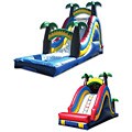 Commercial Grade Palm Tree Water Slide