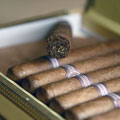 Cigar of the Month Club (3 Months)