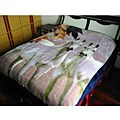 White Horses Design Blanket