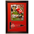 AJ Hawk 12 x 18 Custom Framed Print/ Pennant