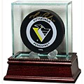 Glass Puck Case