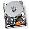 Western Digital WD2500BEAS 250GB 2.5-inch SATA Hard Drive (Refurbished)