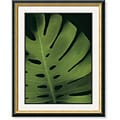 Rosemarie Stanford 'Big Boy' Framed Art Print