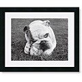 Sharon Beals 'Obsess' Framed Art Print