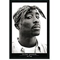 'Tupac: 1971 - 1996' Framed PosterZ