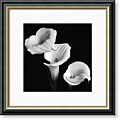 Michael Faragher 'Sisters' Framed Art Print