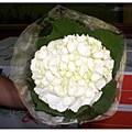 10 Stems White Hydrangea
