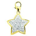 14k Yellow Gold Diamond Star Charm