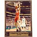 Zydrunas Ilgauskas 9x12 Deluxe Sports Plaque