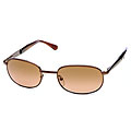Serengeti Raven Henna/ Tortoise DG Sunglasses