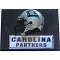 Carolina Panthers 9x12 Helmet Plaque