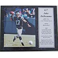 Jake Delhomme 12x15 Stat Plaque