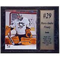 Marc-Andre Fluery 12x15 Stat Plaque