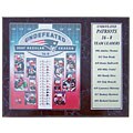 New England 16-0 12x15 Deluxe Sports Plaque