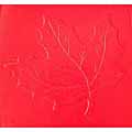 Maple Leaf Decorative Concrete Stamp