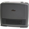 Portable Compact Ceramic Heater with Humidifier