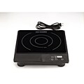 Casa Essentials Portable Induction Cooktop