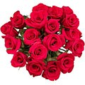 Simply Red Rose Special (50 Stems)