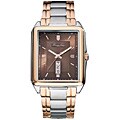 Kenneth Cole Men's Two-tone Quartz Watch